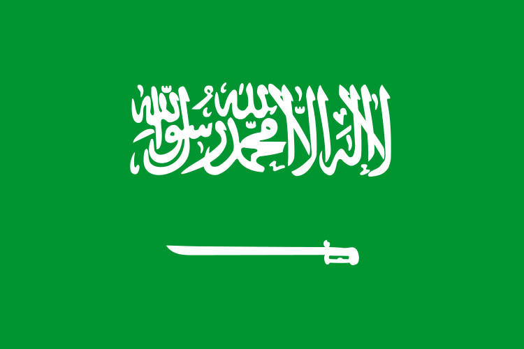 السعودية تمنح 2382 رخصة تشغيل أنشطة سياحية
