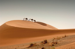 مؤتمر عالم السياحة الخضراء