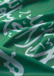 إنشاء هيئة مستقلة للطيران المدني