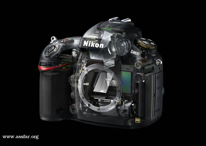 كيمرا نيكون D800 الجديدة كلياً