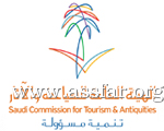 دبي غير مهتمة بدخول السوق السعودي