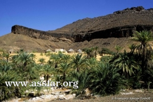 الفجيرة جذب السياح وخدمات الفندقية