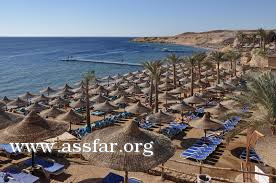 شركات بريطانية تراجع تعليق السفر لشرم
